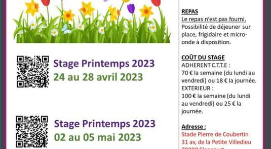 Stages Vacances CTTE et Alliance Ping Yvelines